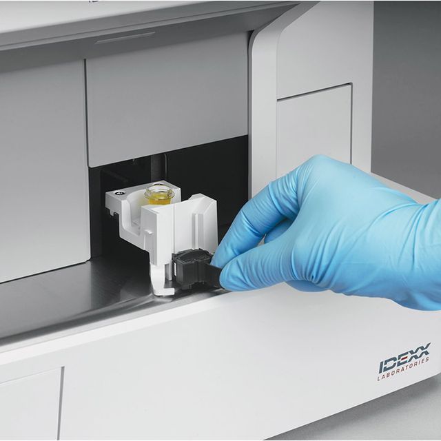 laboratoire-idexx1